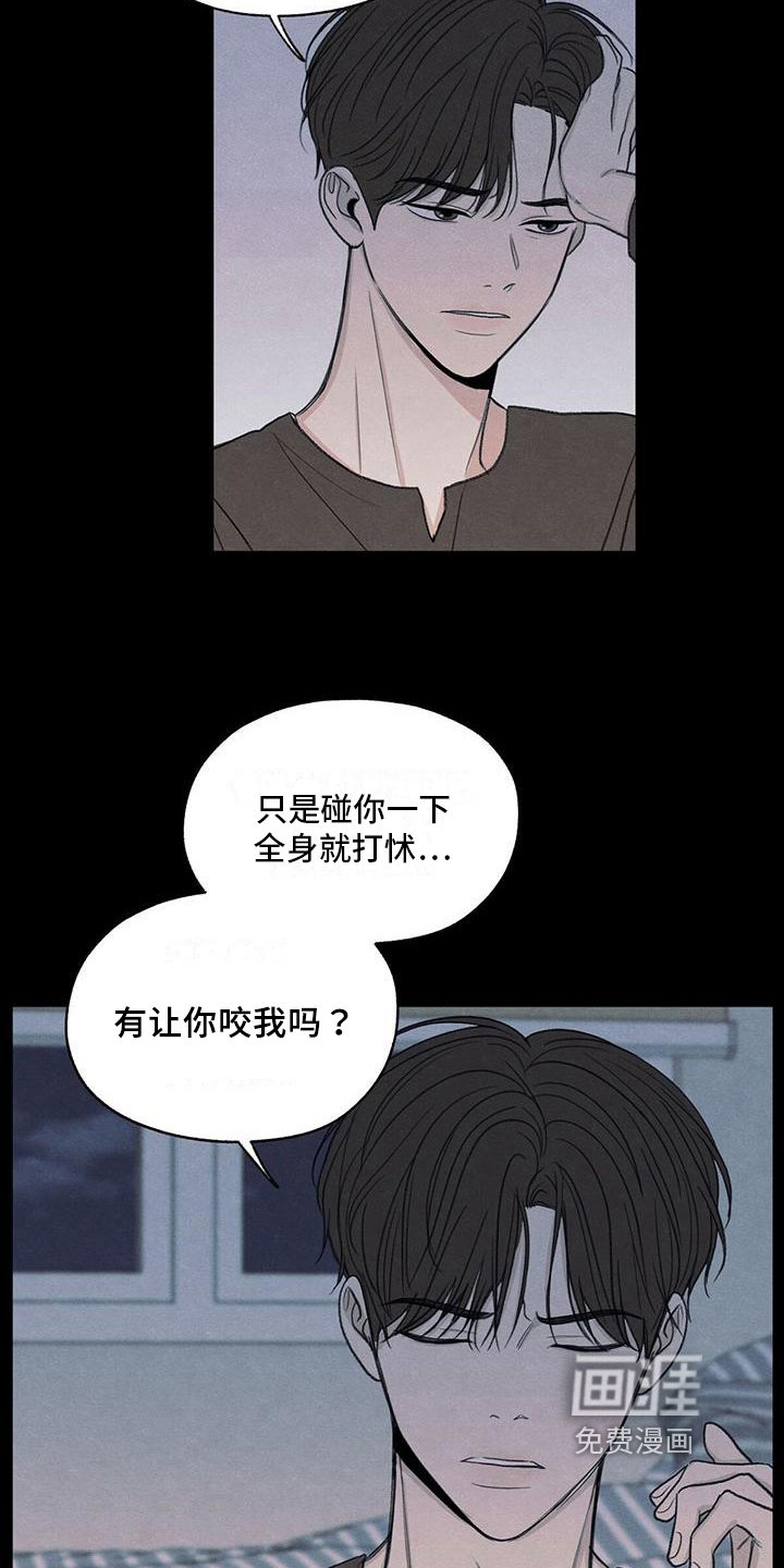 第20章：对待