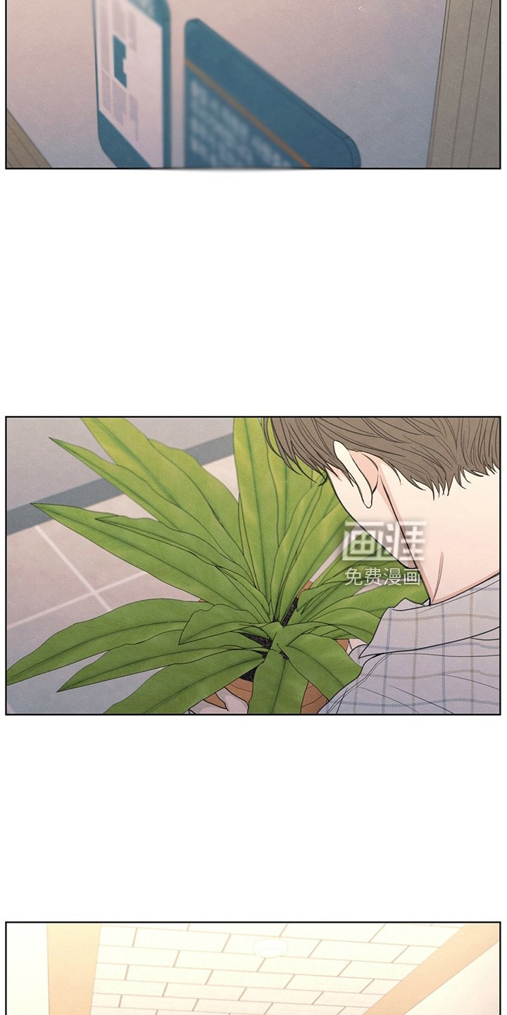 第33章：不像他