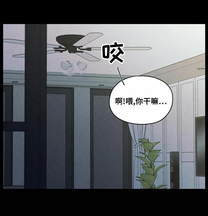 第51章：掉以轻心
