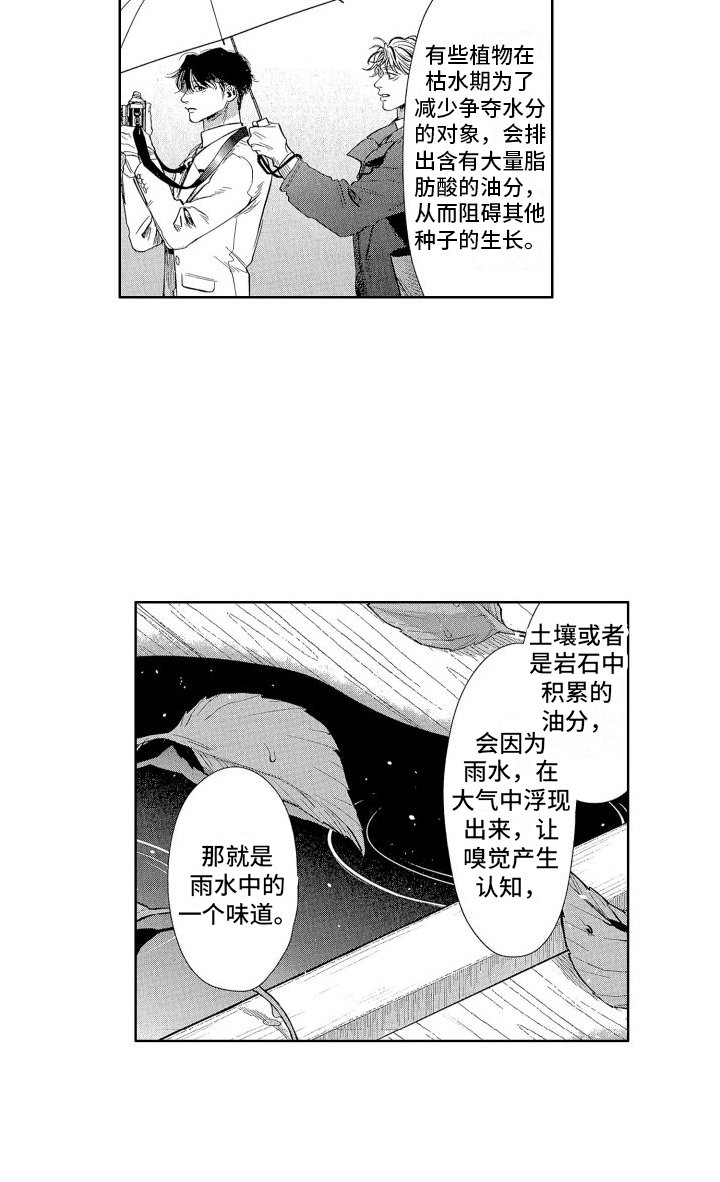 第11章：雨水味