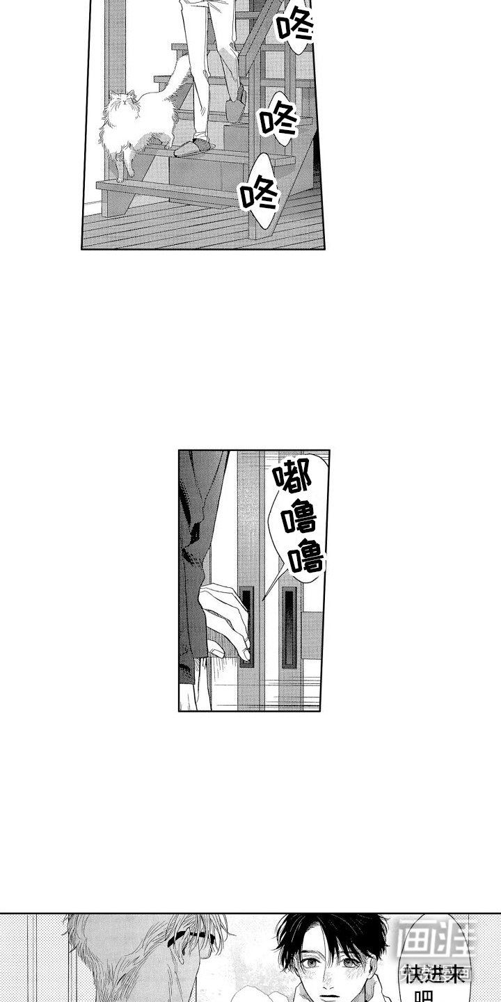 第15章：探讨