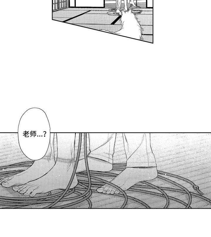 第17章：看法