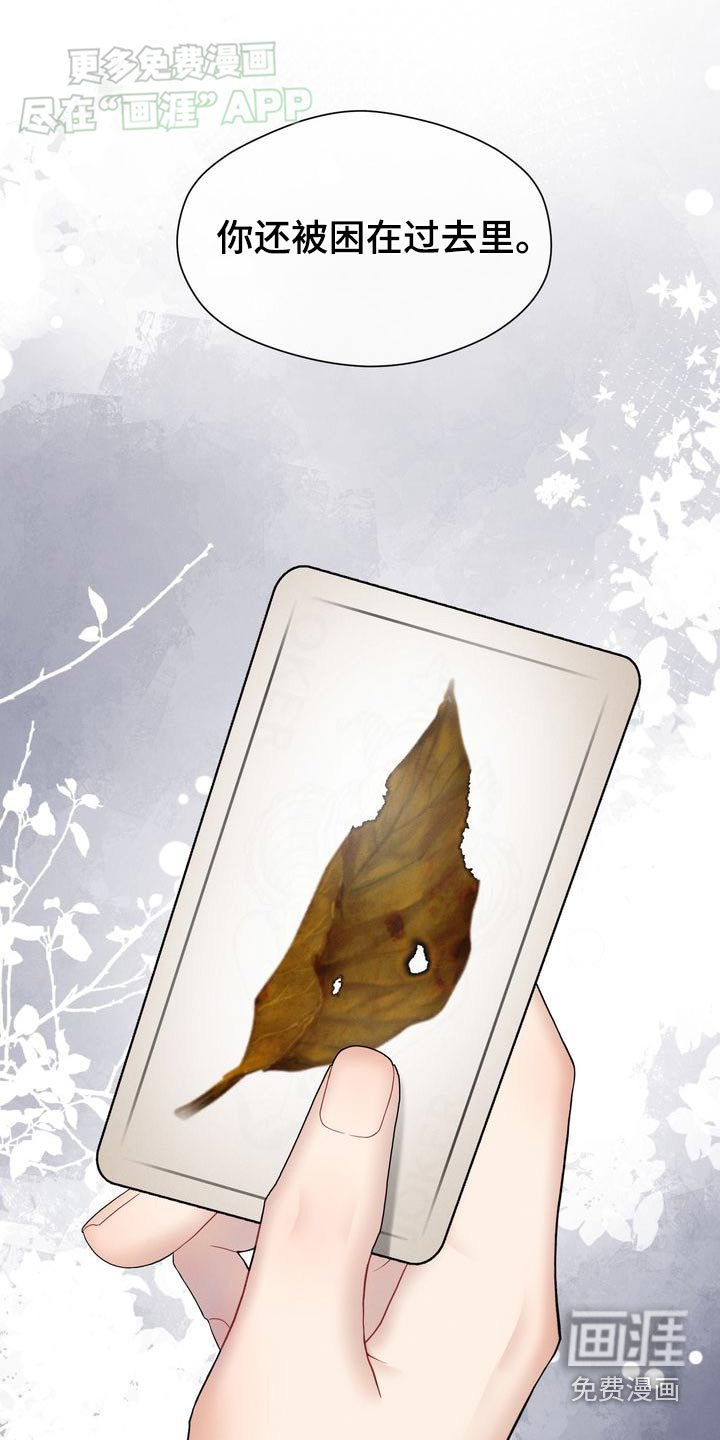 第49章：卡牌