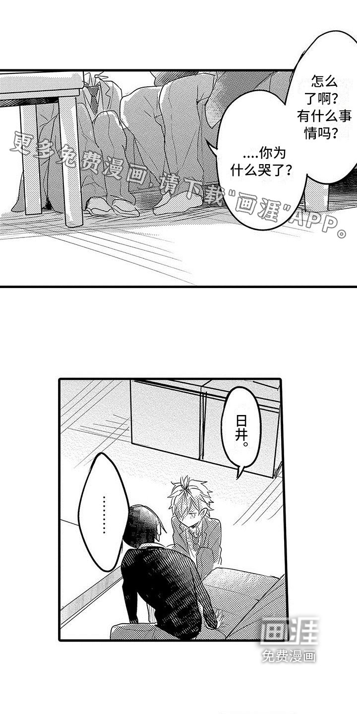 第19章：解释