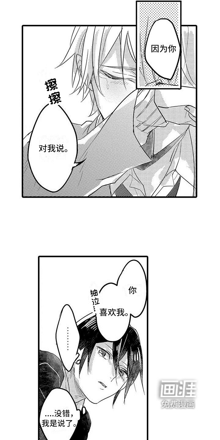 第19章：解释