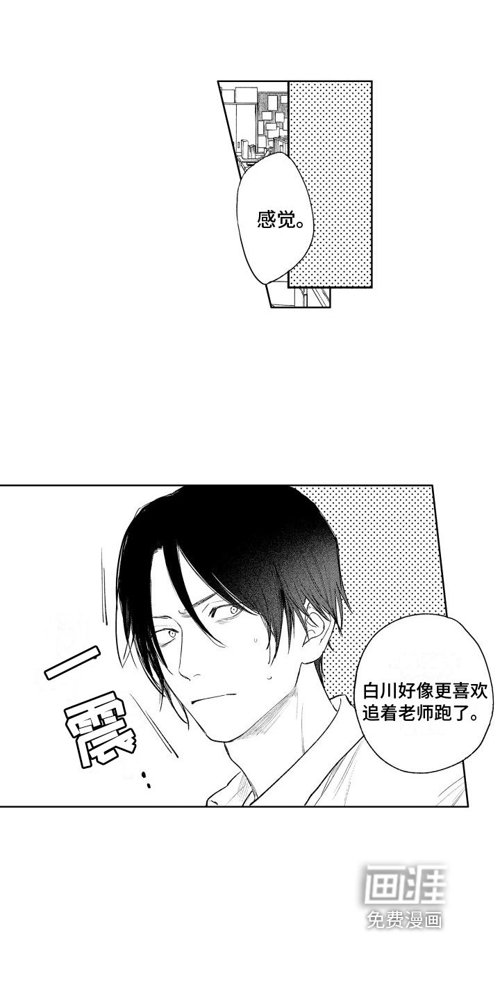 第11章：弱点