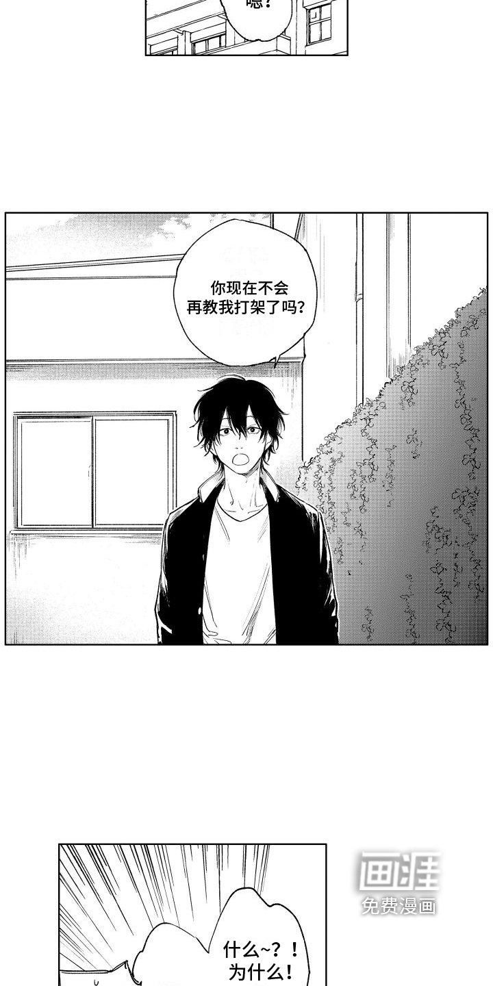 第11章：弱点