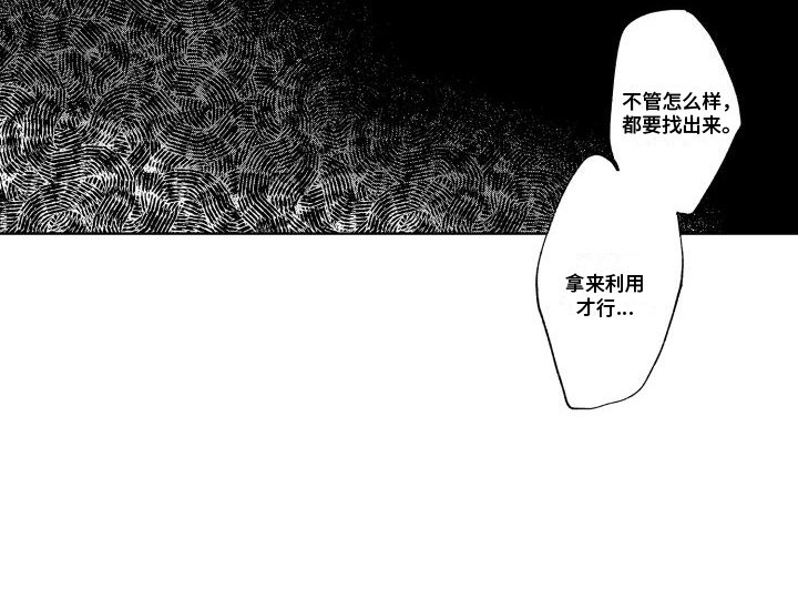 第11章：弱点