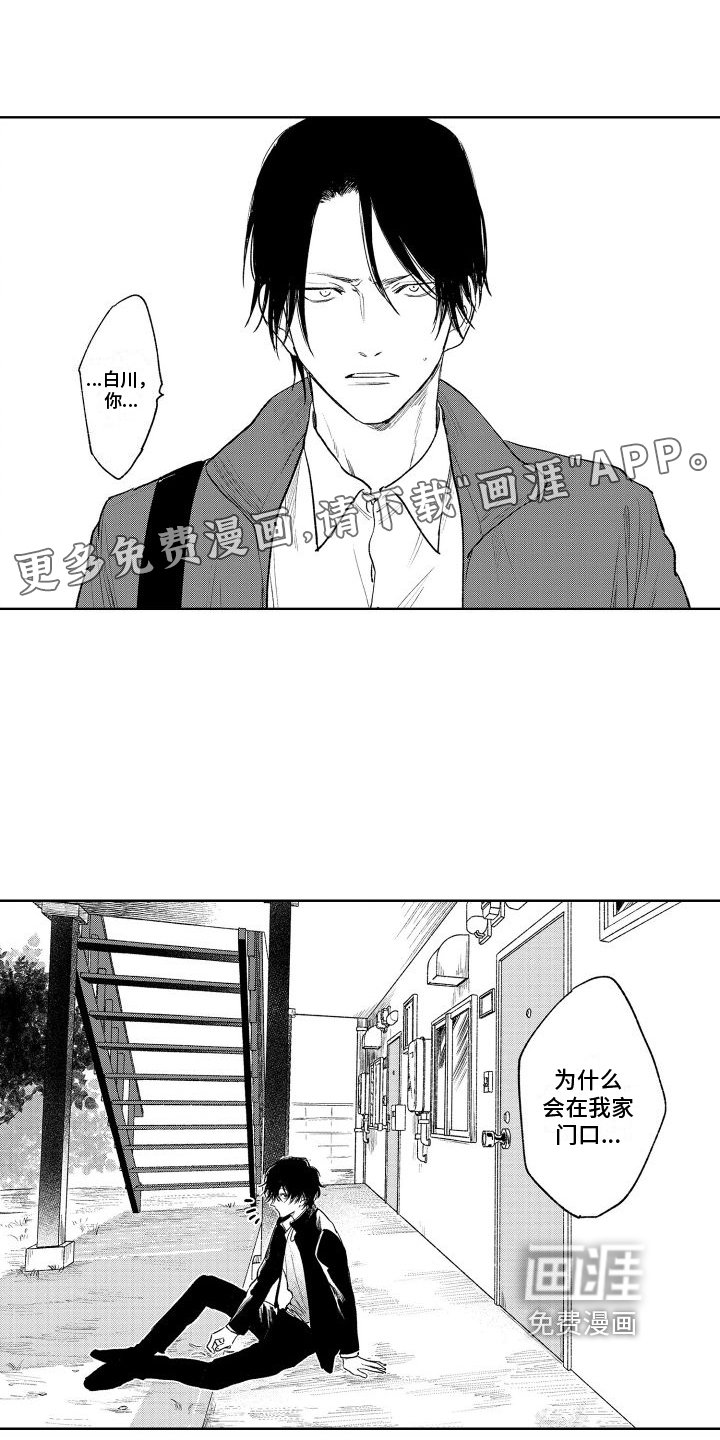 第12章：表态