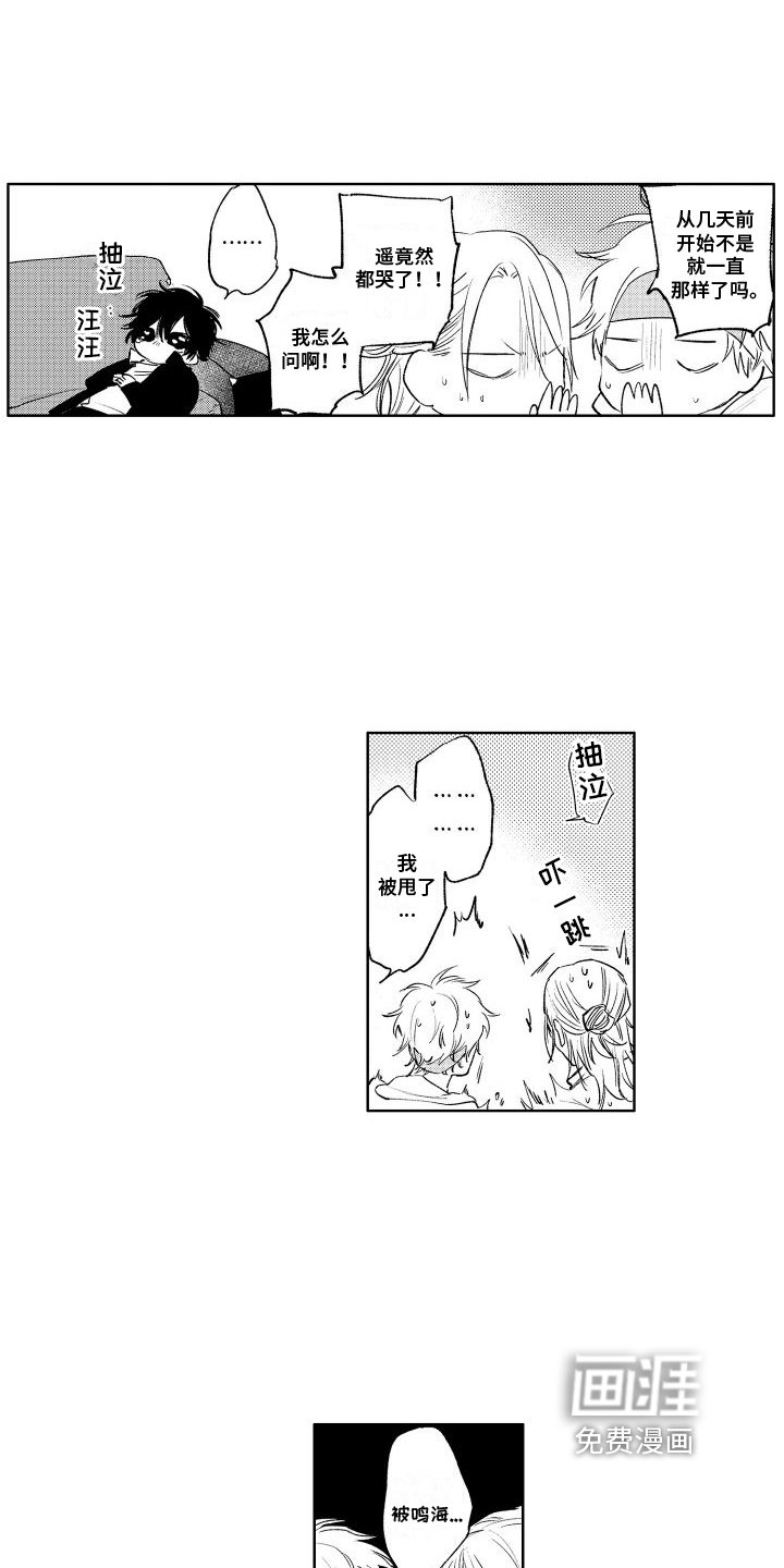 第13章：反省