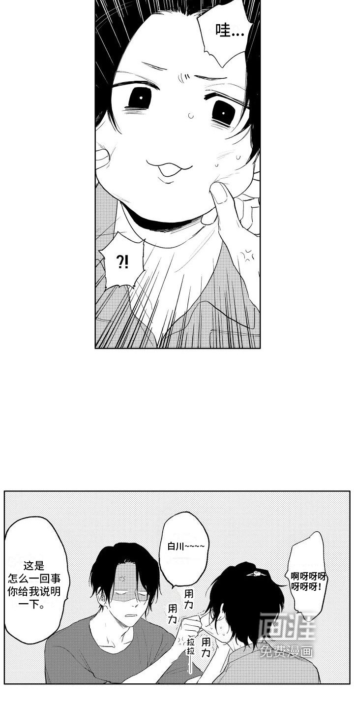 第20章：想法