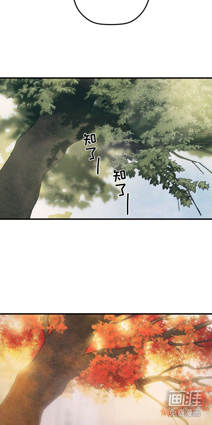 第23章：生病了