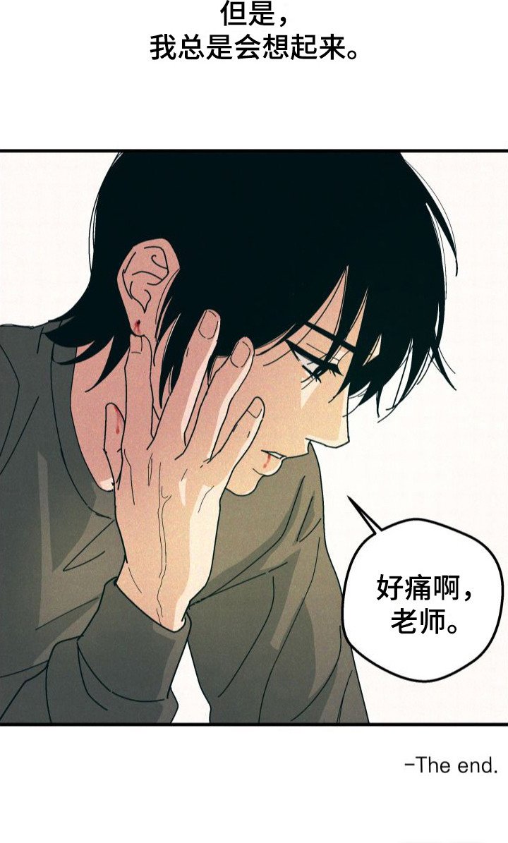 第32章：【番外2】痛楚
