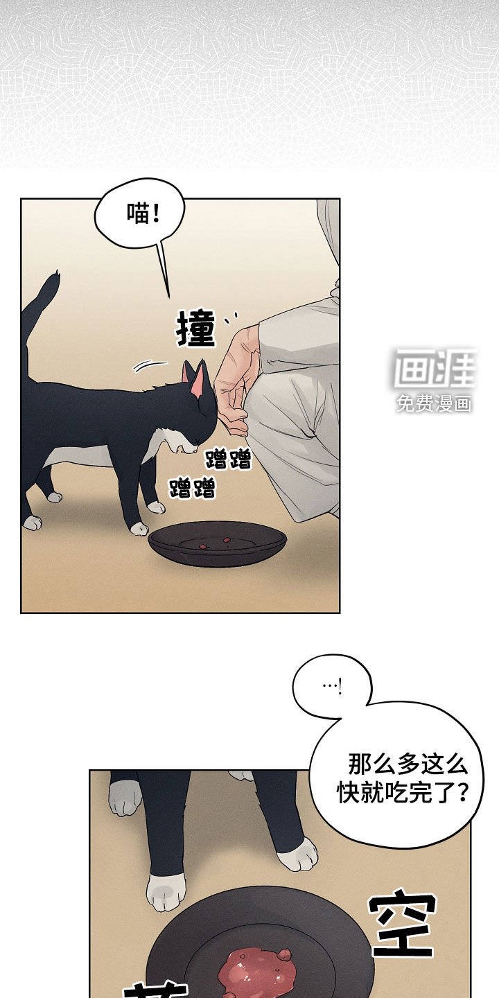 第27章：期待
