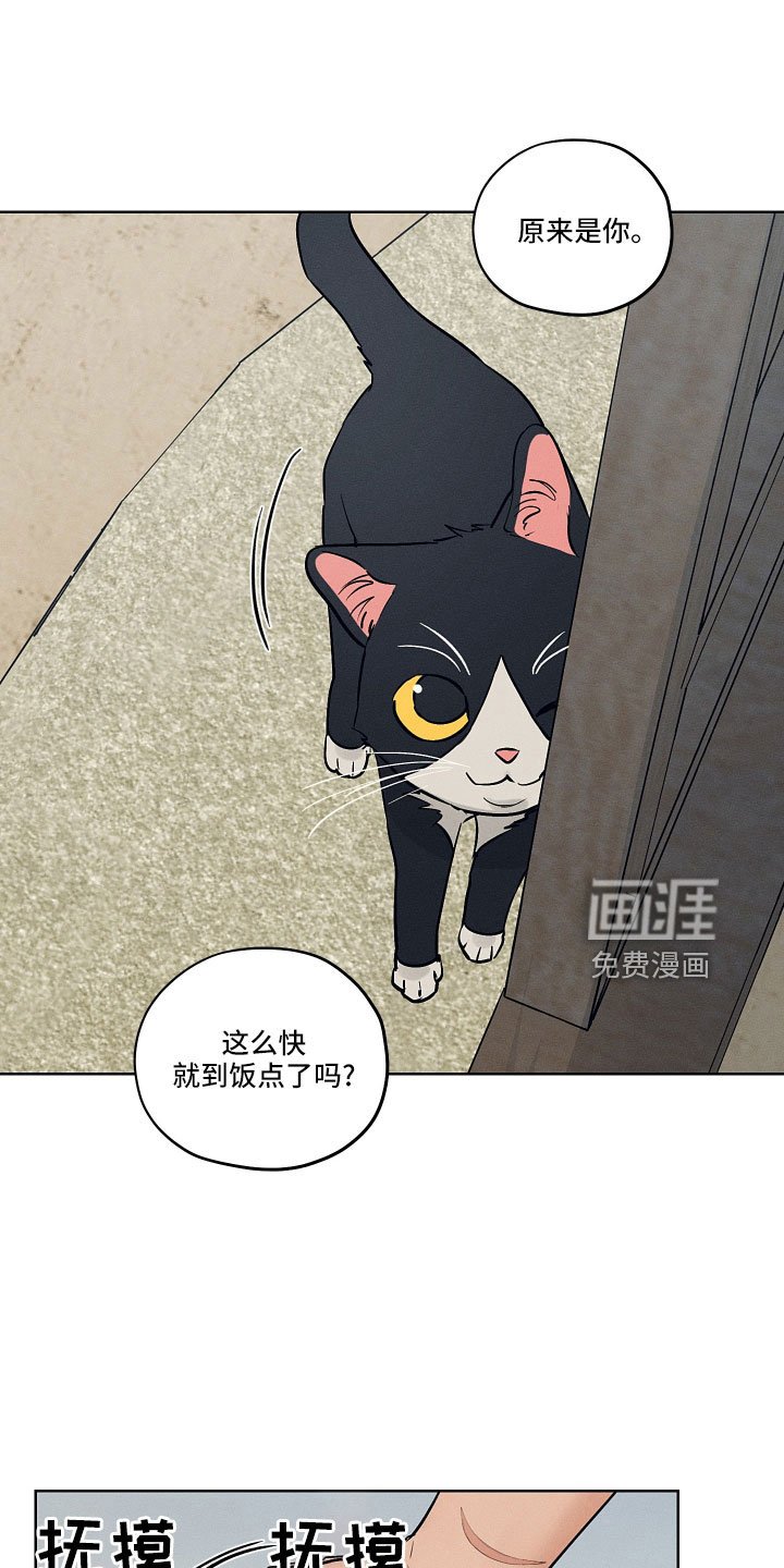 第43章：污点