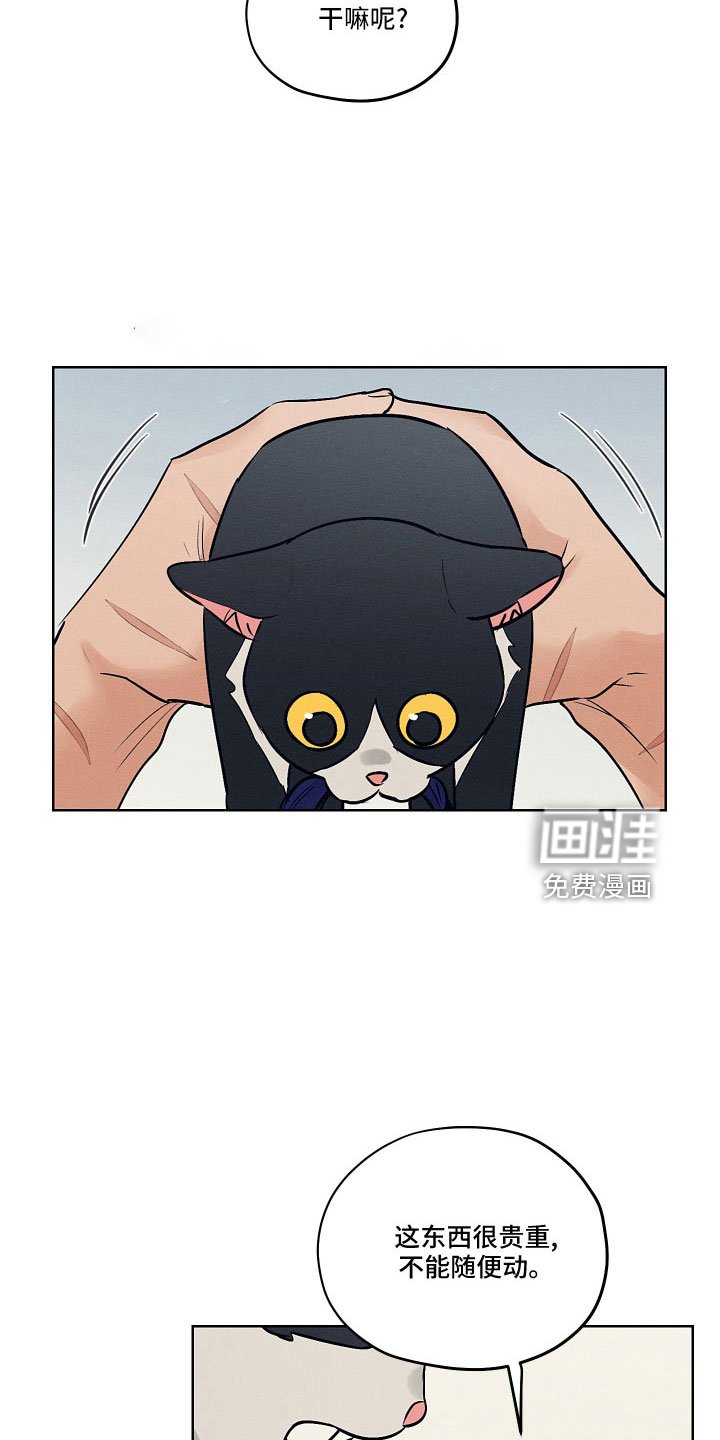 第44章：请多关照