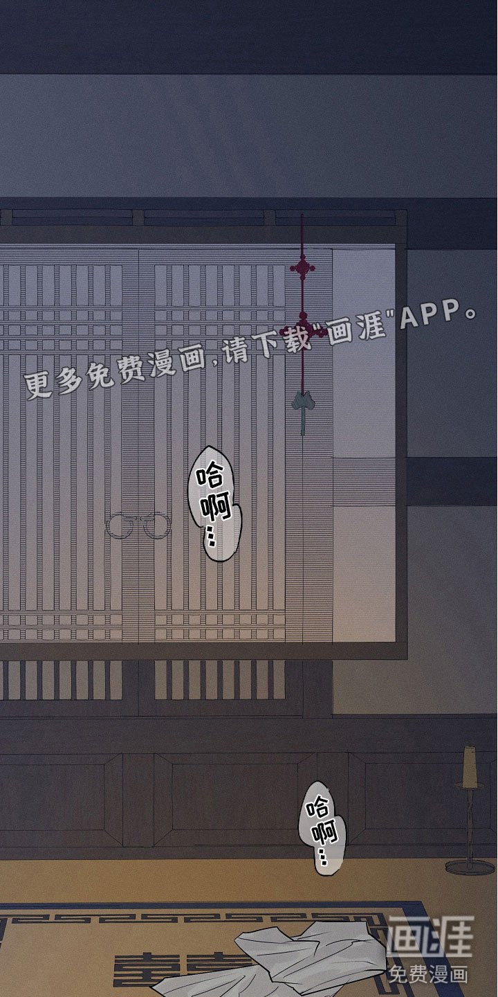第6章：他是特别的吗？