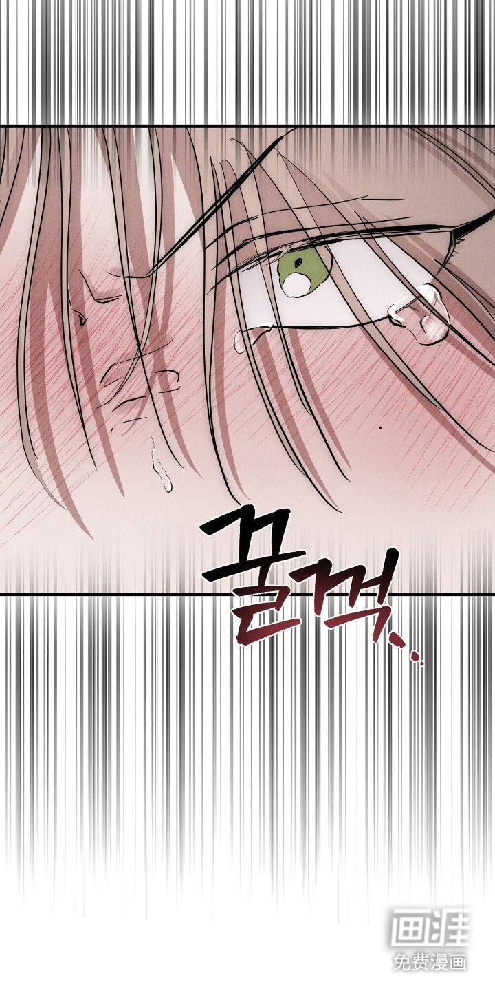 第11章：伤疤