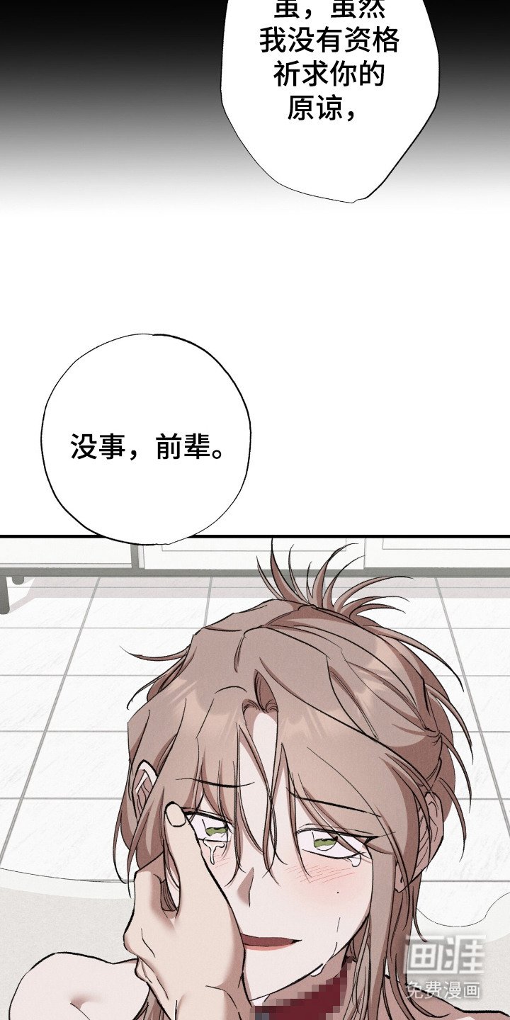第14章：服从