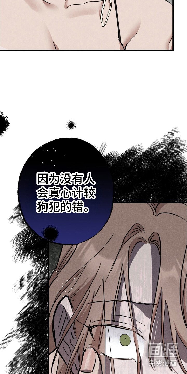 第14章：服从