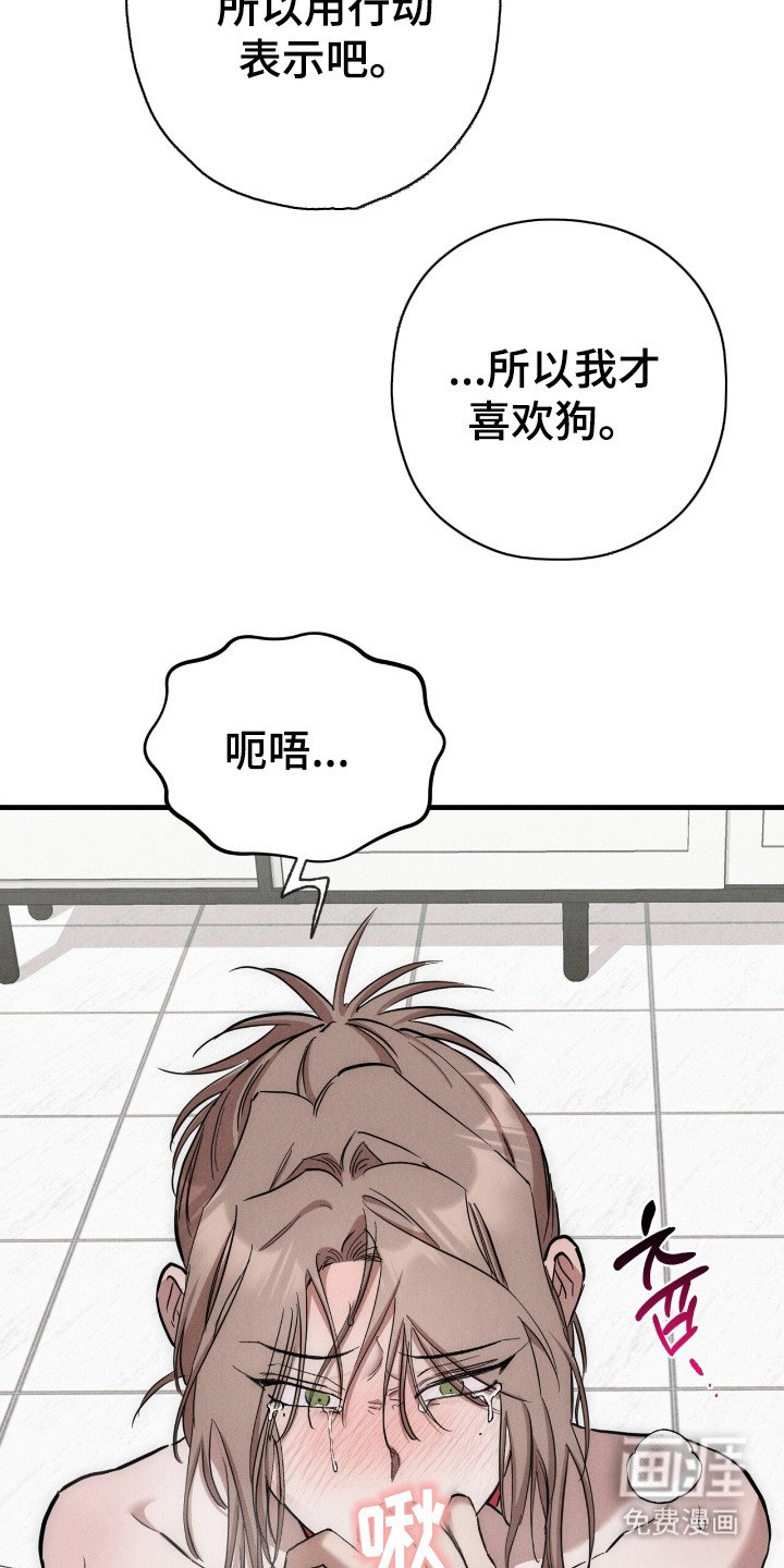 第14章：服从