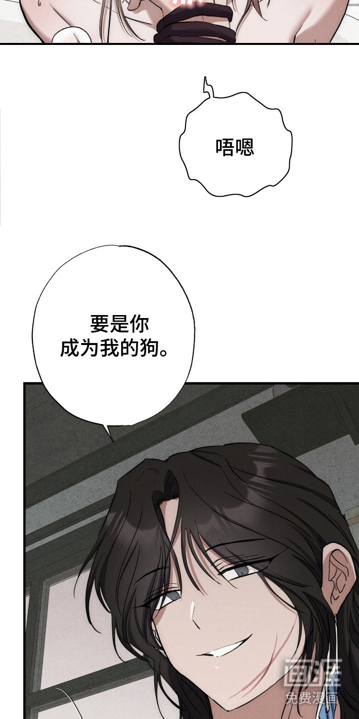 第14章：服从