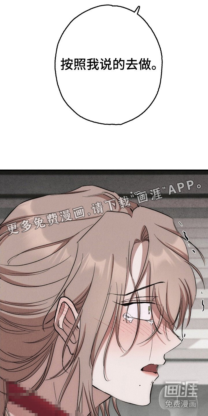 第14章：服从