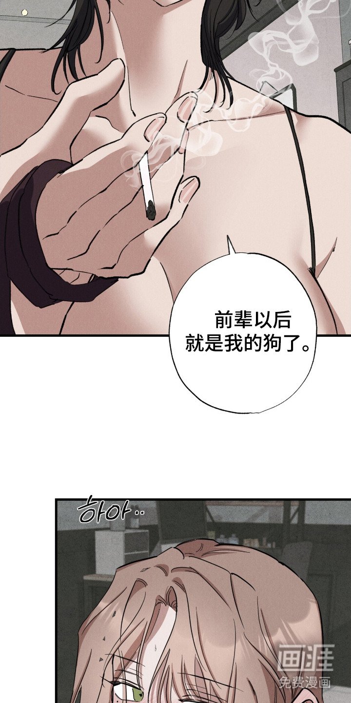 第15章：惩罚自己