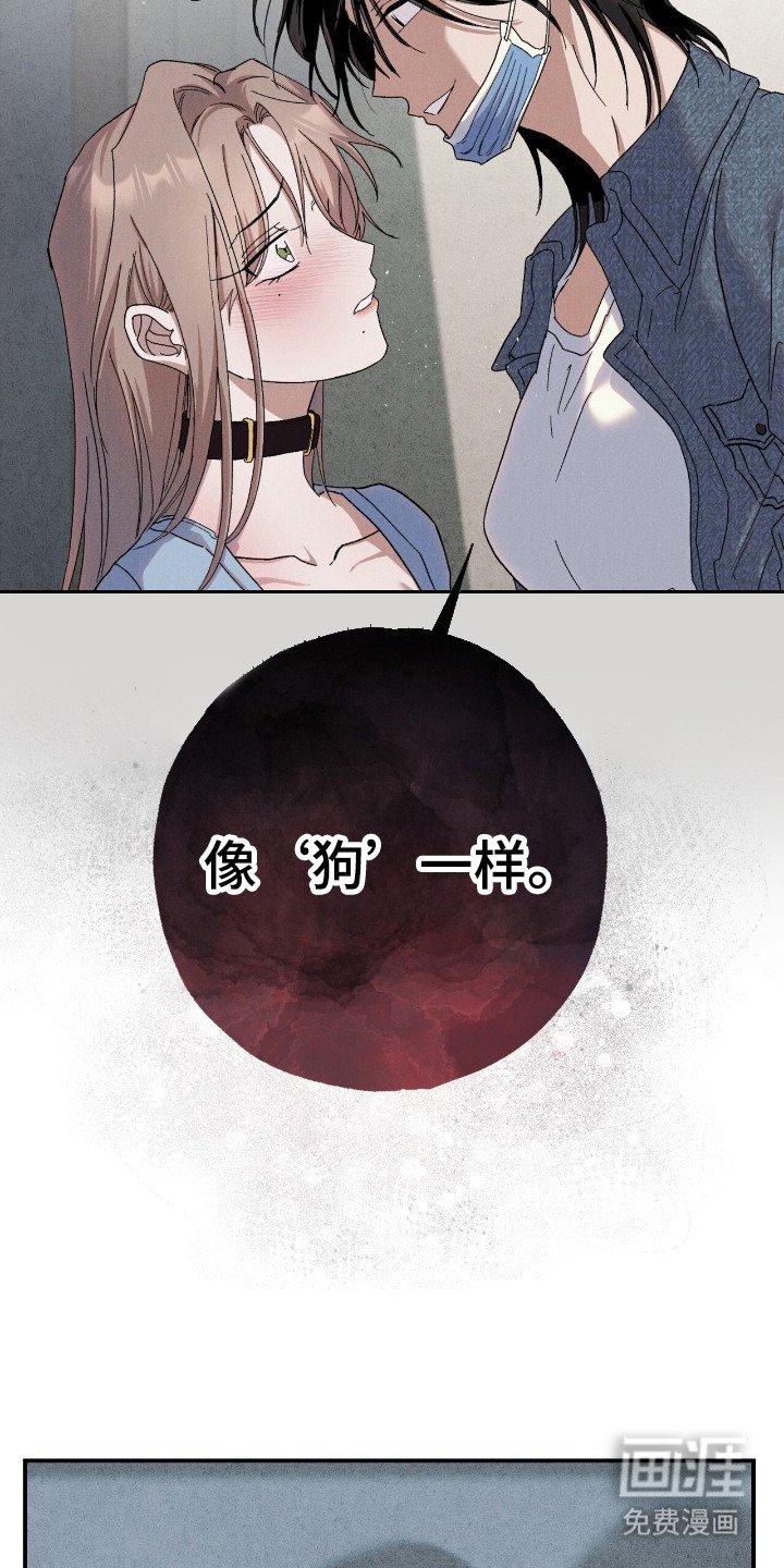 第4章：很恶心