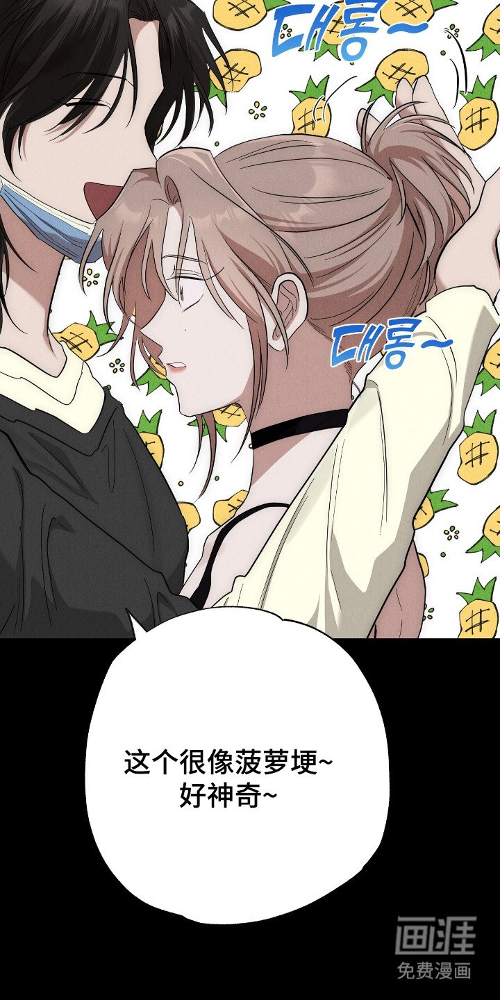 第5章：菠萝头