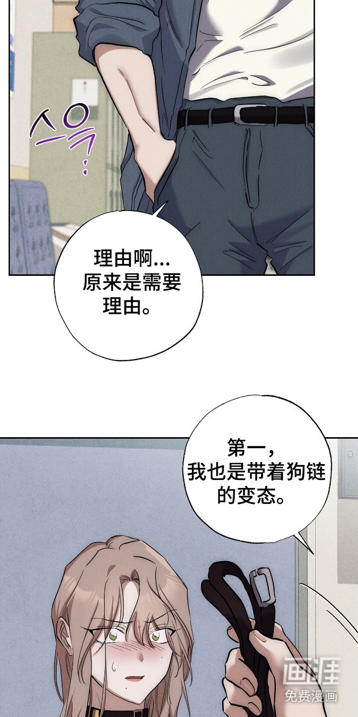 第5章：菠萝头