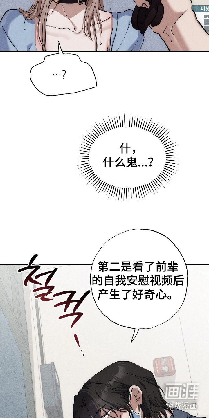 第5章：菠萝头