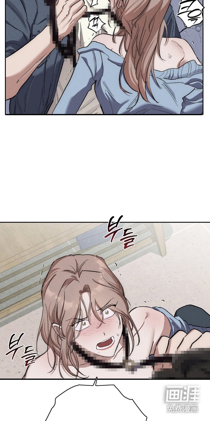 第6章：慢慢培训