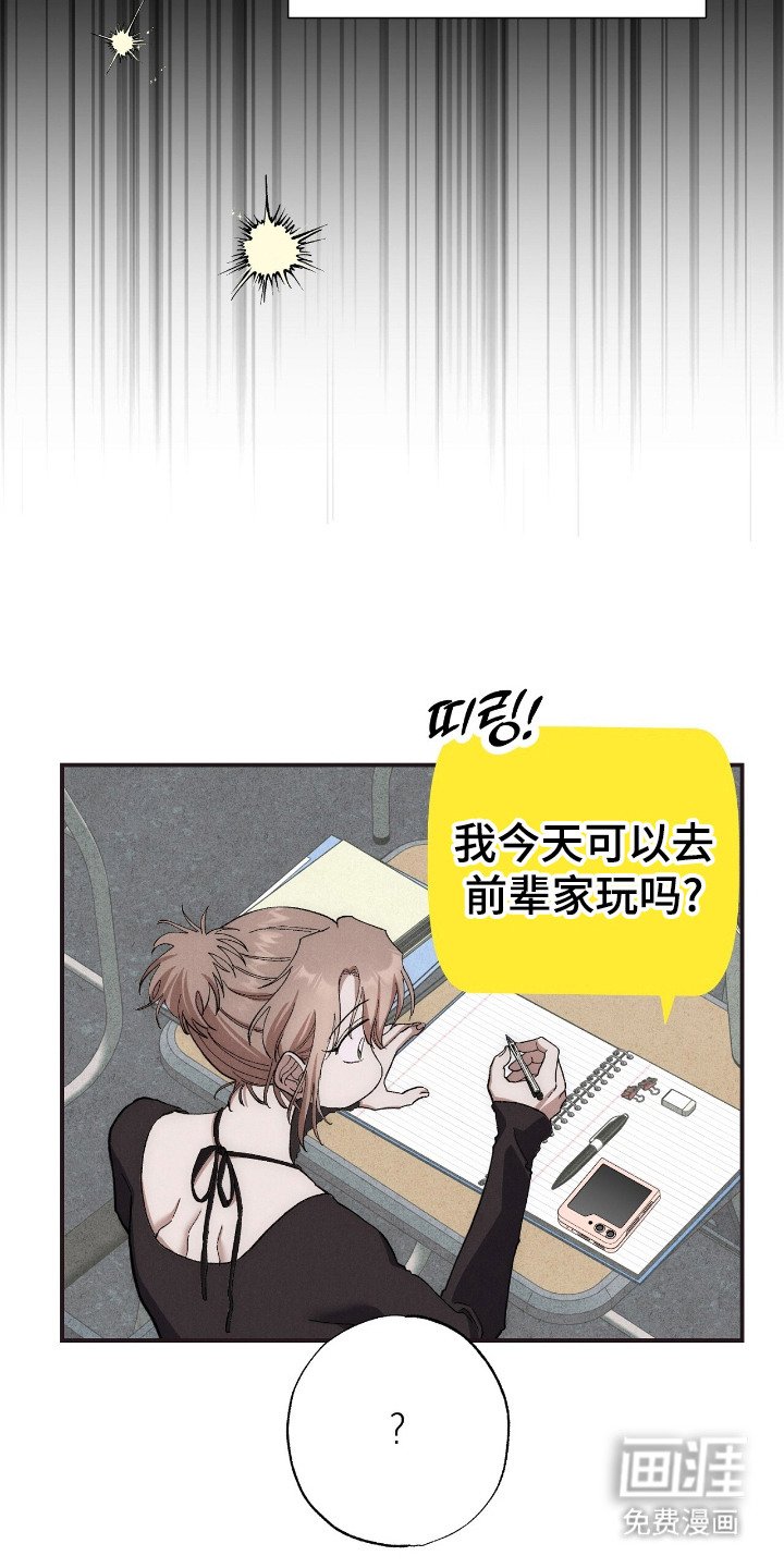 第9章：愚蠢的想法