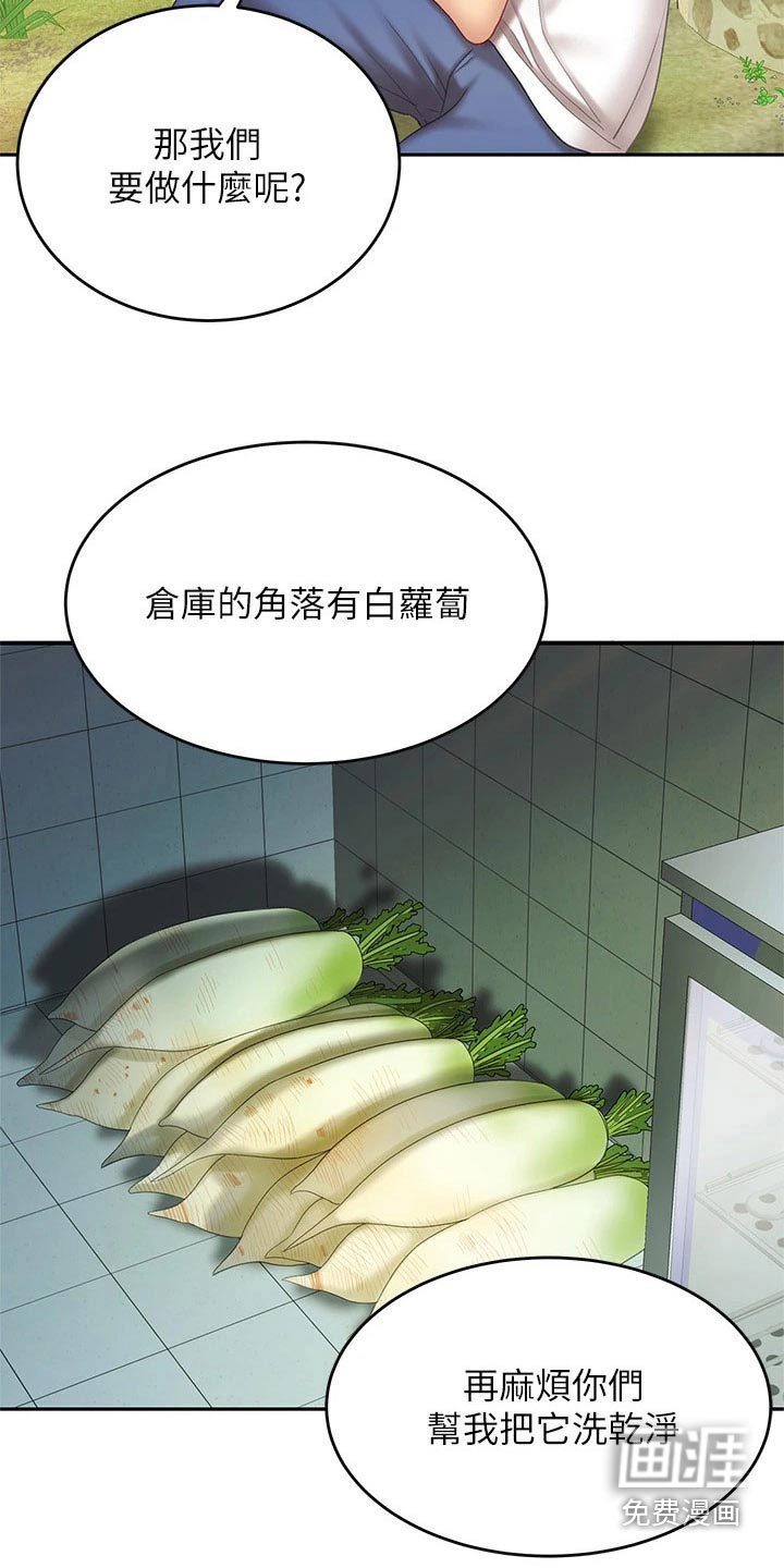 第23章：萝卜