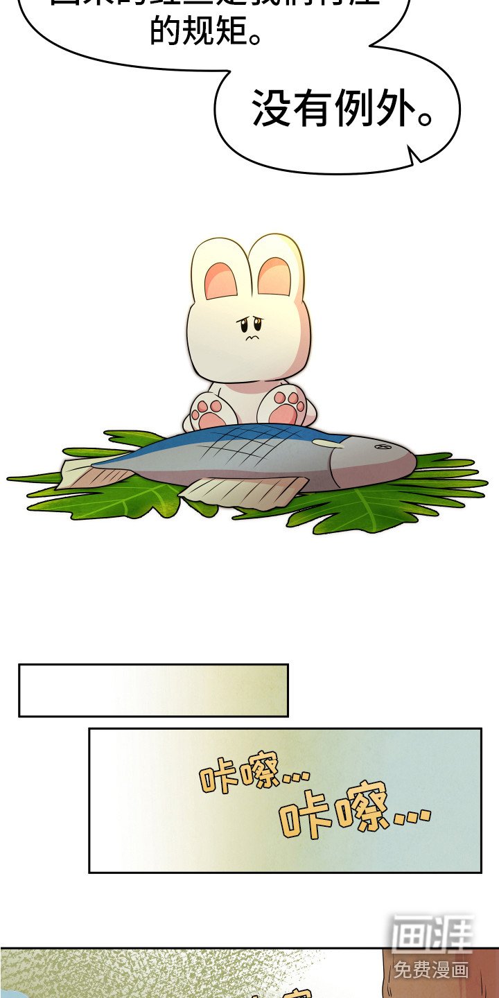 第8章：严严武