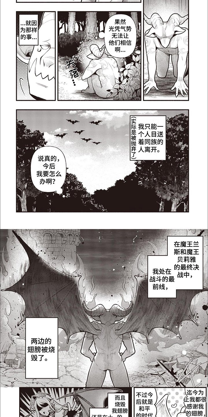 第2章：没有翅膀