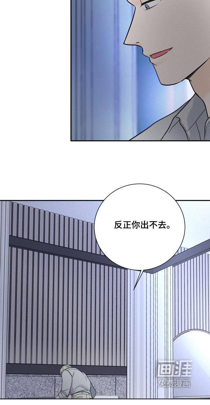 第67章：【第二季】条款