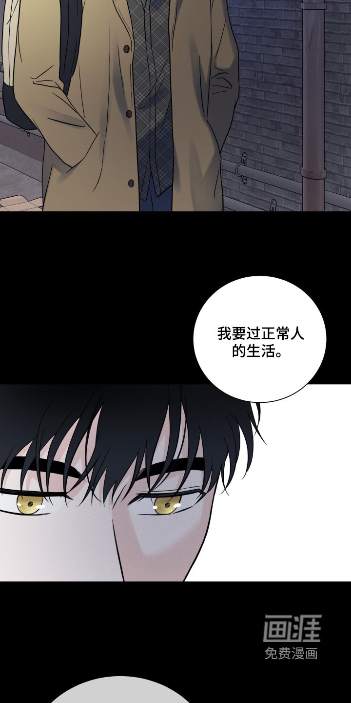 第82章：【第二季】正常的生活