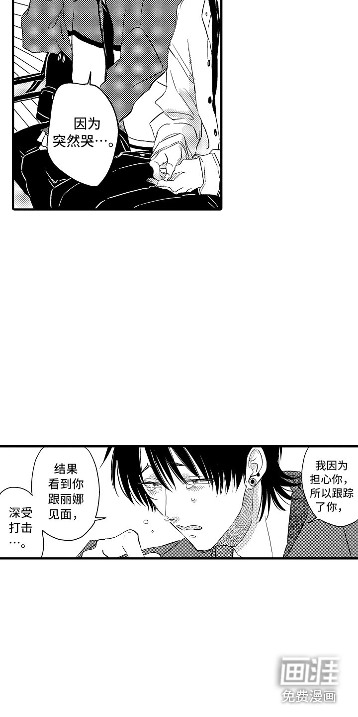 第19章：解释