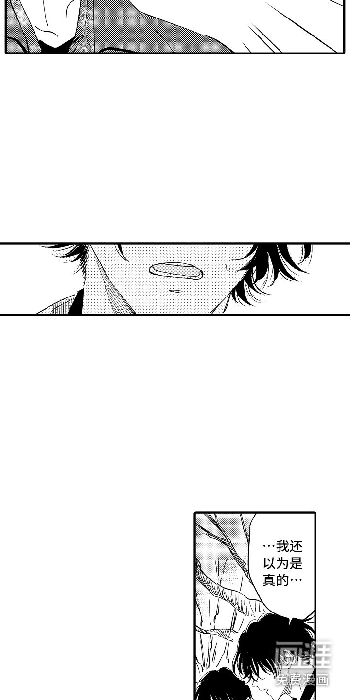 第19章：解释