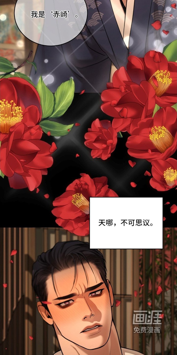 第19章：最后的警告