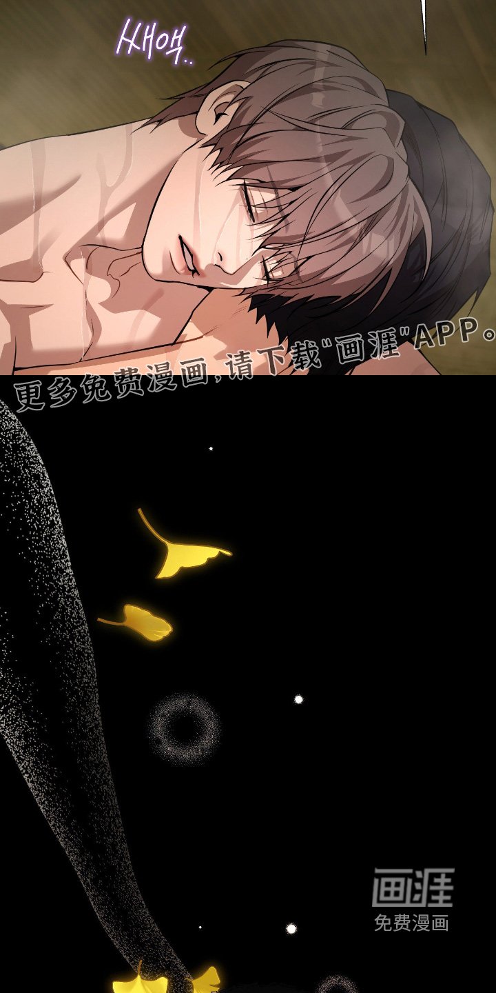 第22章：不需要同情