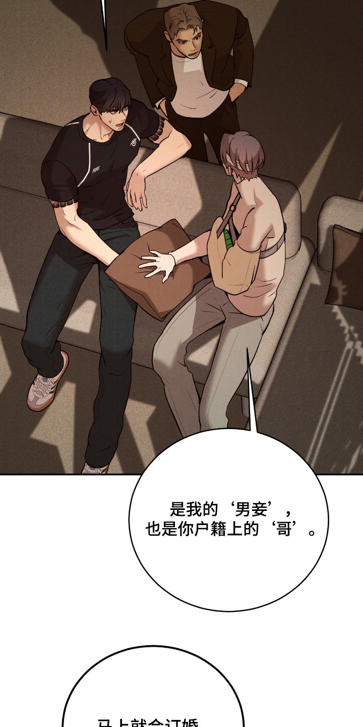 第24章：他的未婚夫
