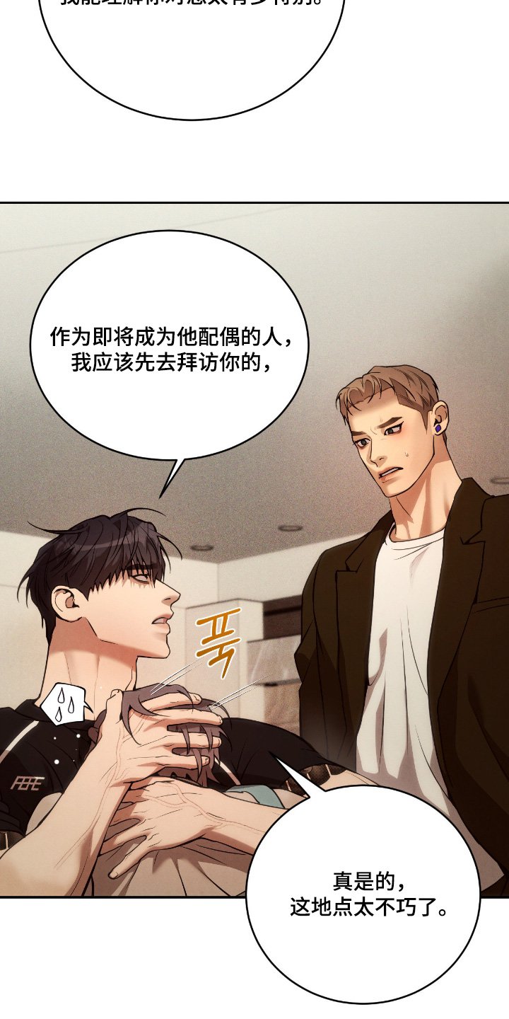 第24章：他的未婚夫
