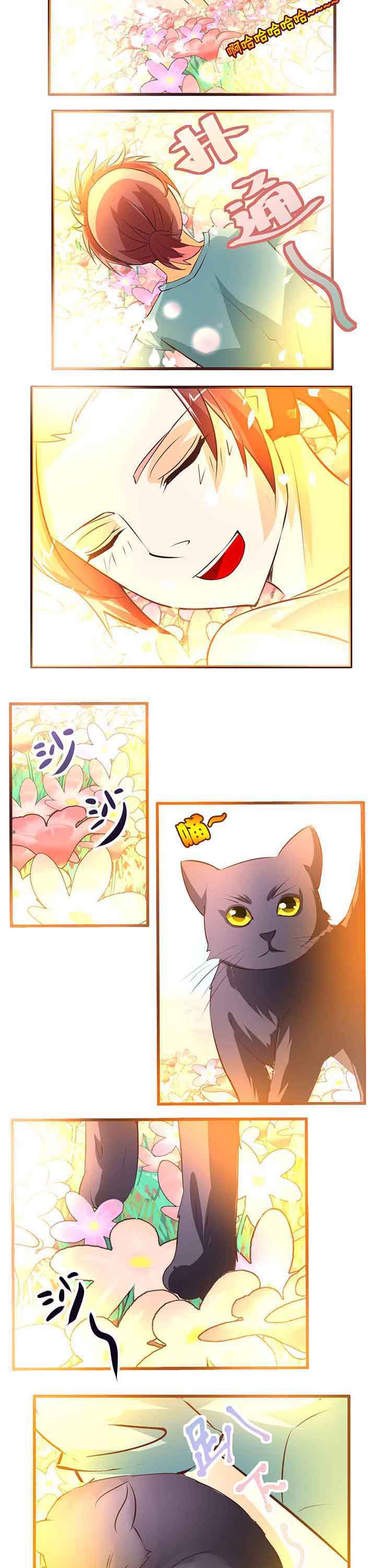 第15章：