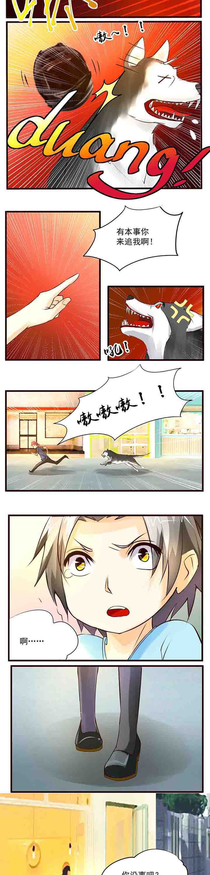 第17章：
