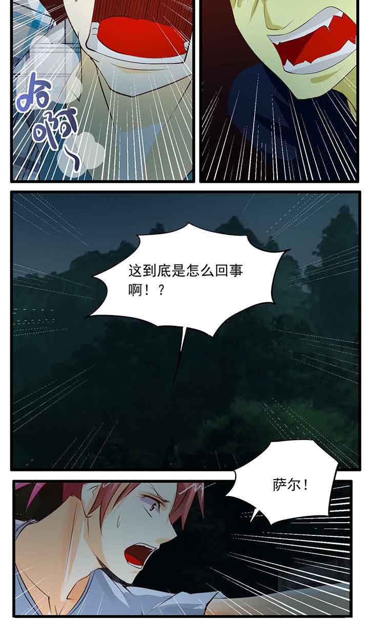 第29章：