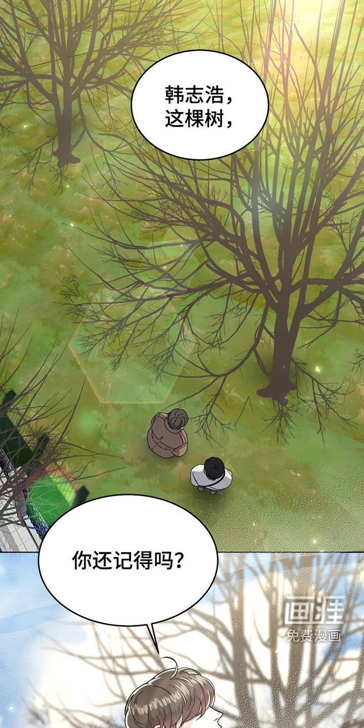 第26章：故地重游