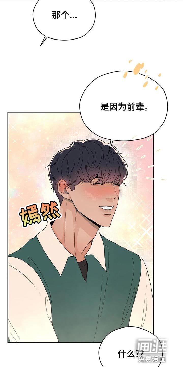第29章：偶然